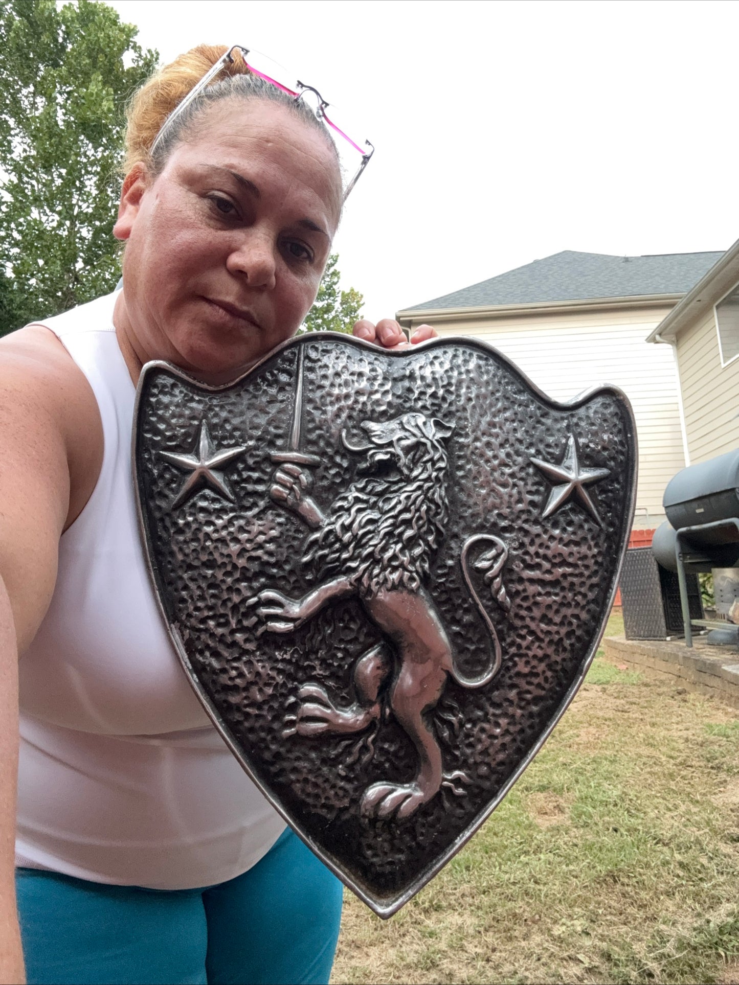 Vintage Cast Aluminum HERALDIC SHIELD Rampant Lion With Sword & Stars Mediaval