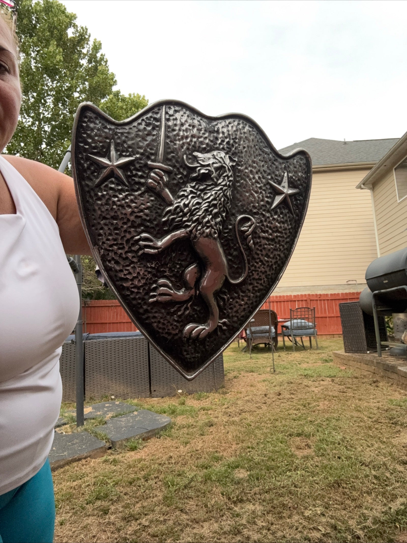 Vintage Cast Aluminum HERALDIC SHIELD Rampant Lion With Sword & Stars Mediaval