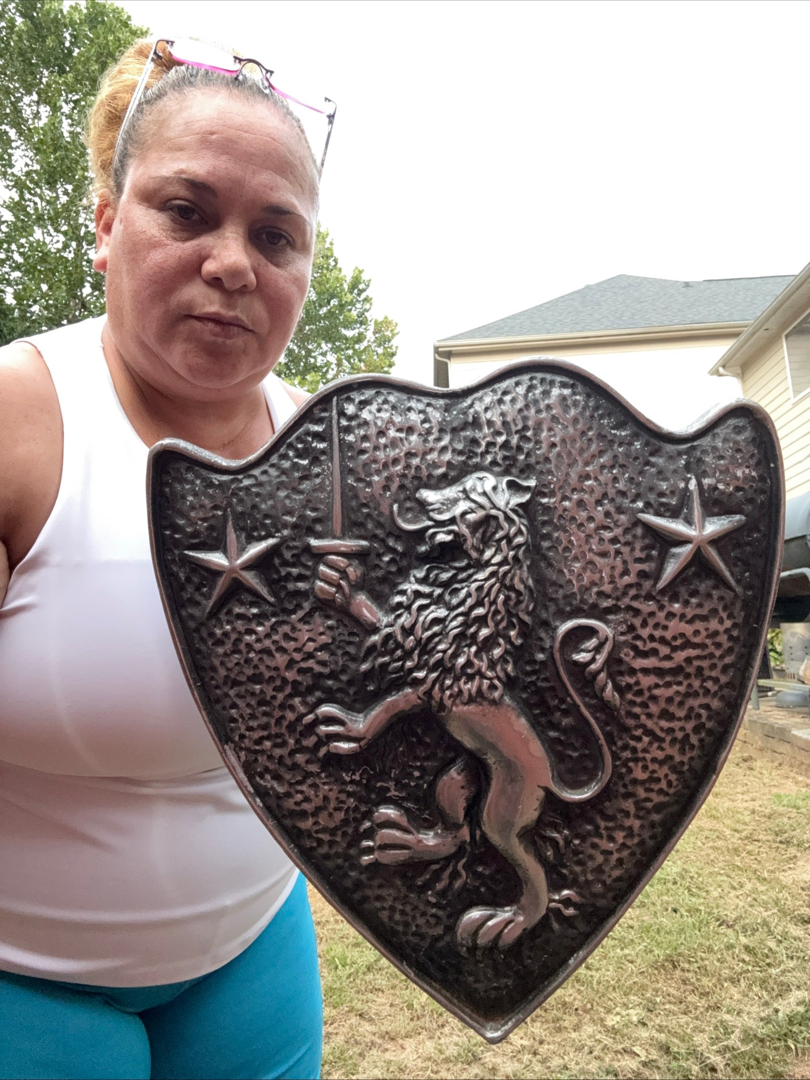 Vintage Cast Aluminum HERALDIC SHIELD Rampant Lion With Sword & Stars Mediaval