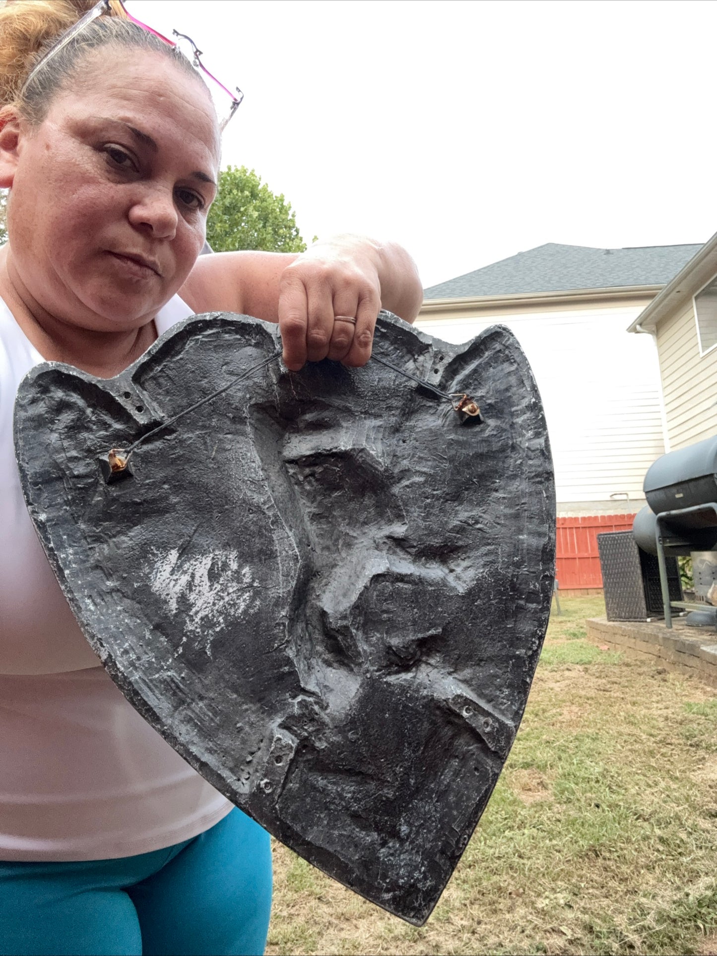 Vintage Cast Aluminum HERALDIC SHIELD Rampant Lion With Sword & Stars Mediaval